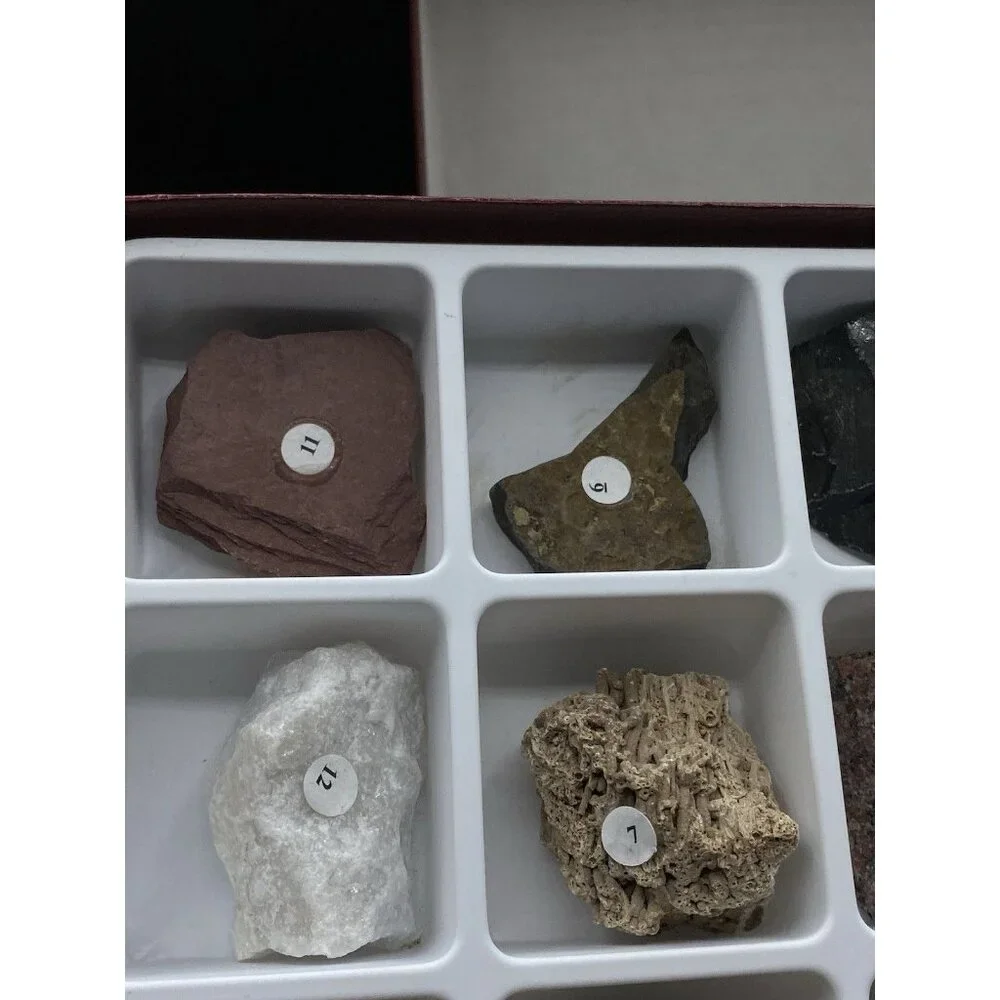 Hand2mind introductory rock